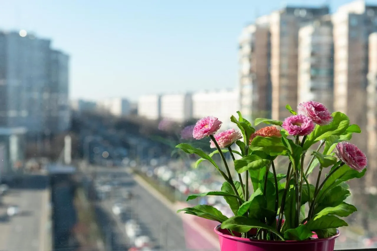 Lujerului Studio Bucharest Apartment