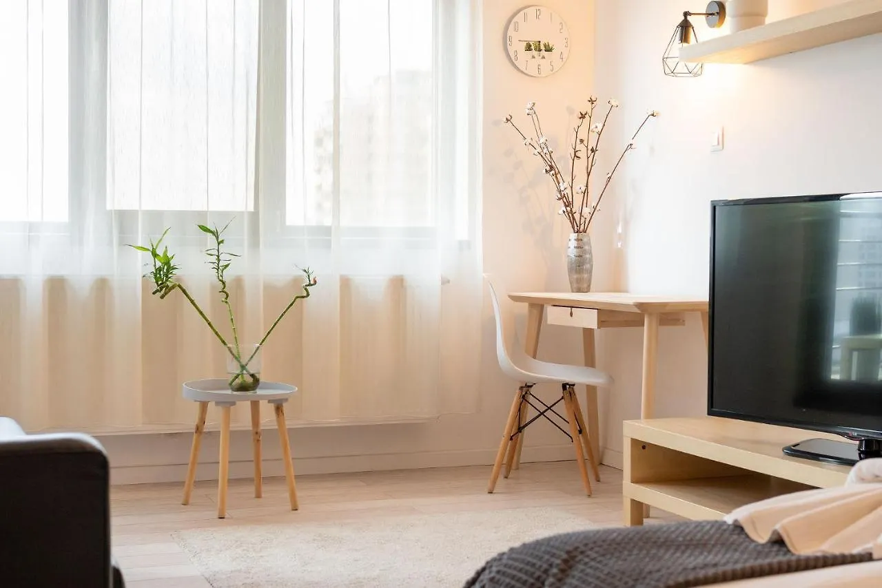 Lujerului Studio Bucharest